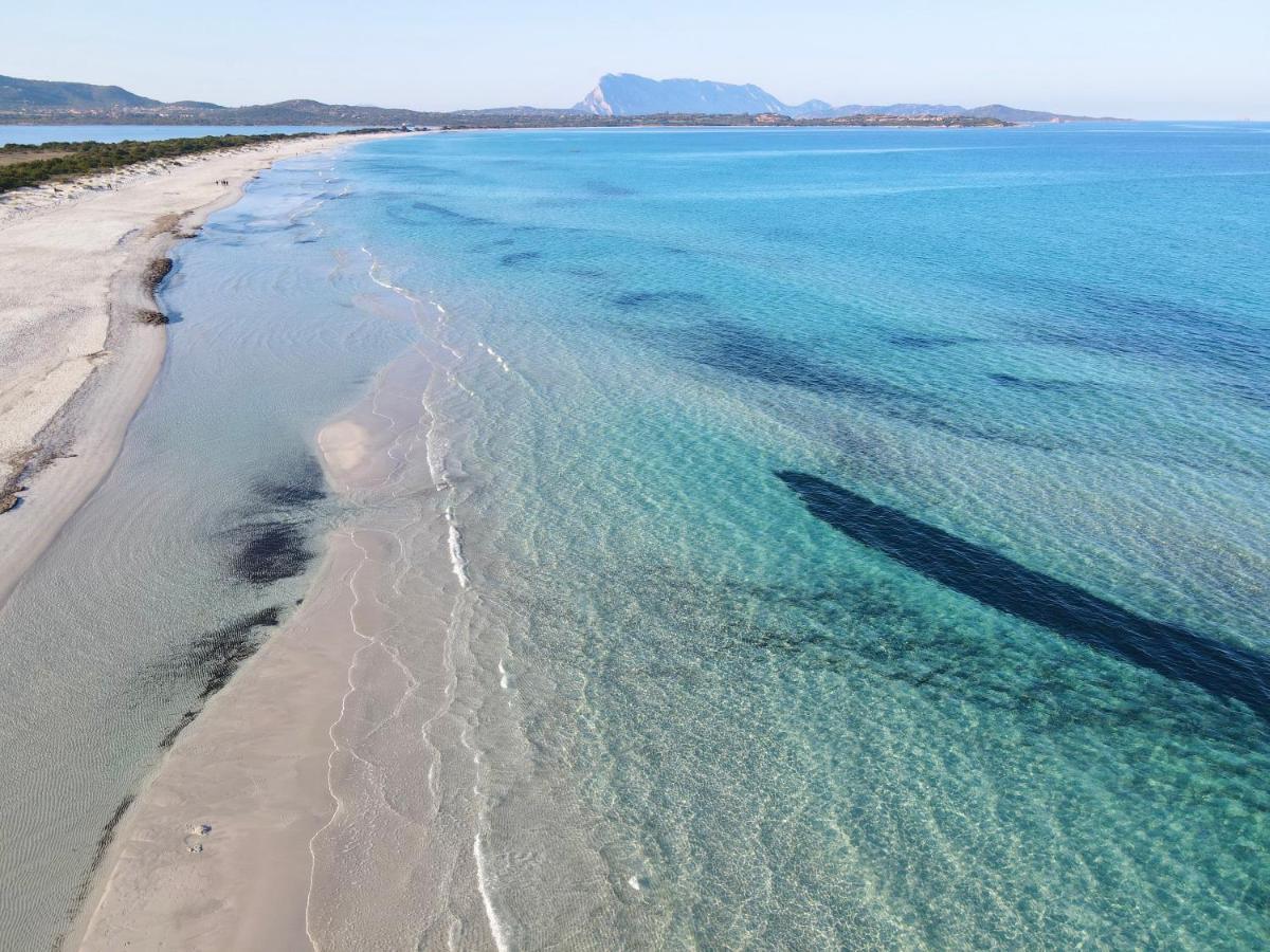 Iss Travel, Sea View Apartment Il Corbezzolo - Ground Floor With Air-Condition San Teodoro  Eksteriør billede