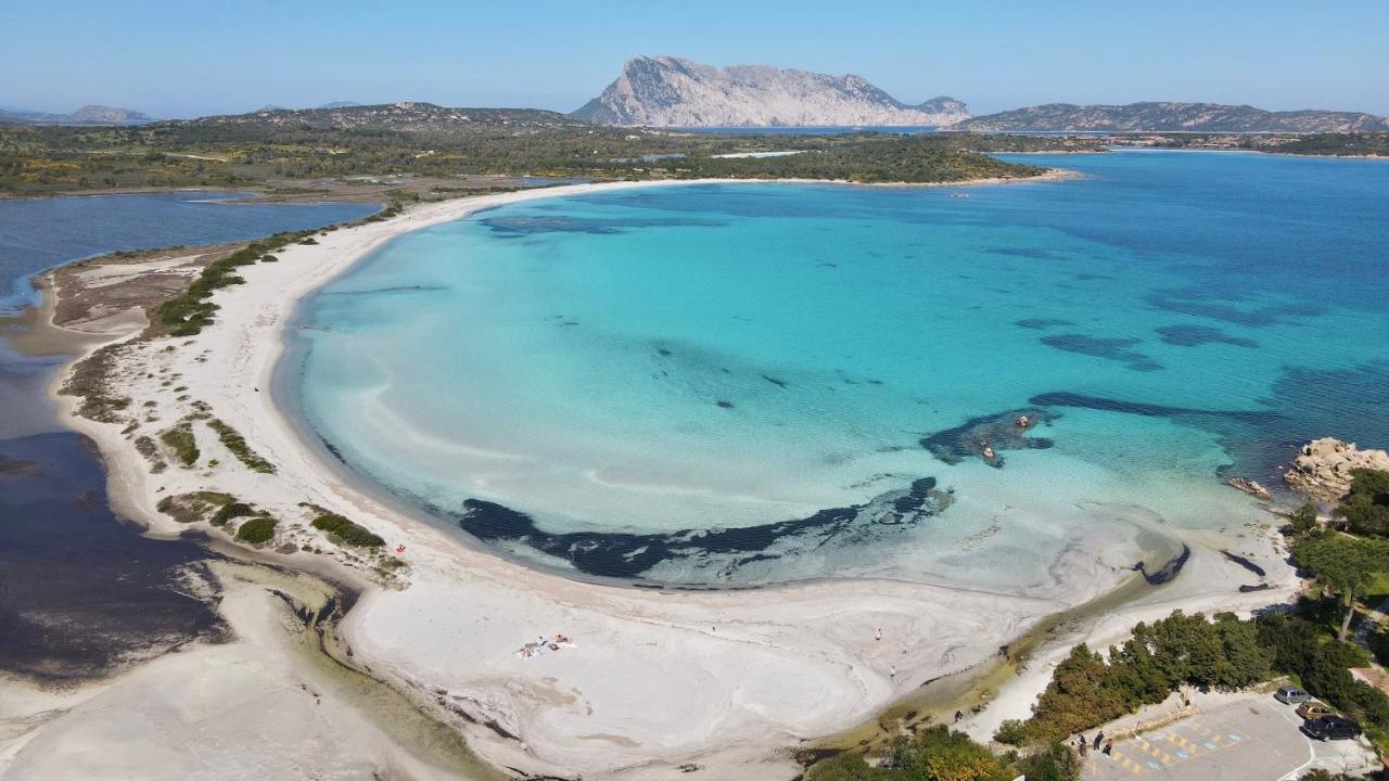 Iss Travel, Sea View Apartment Il Corbezzolo - Ground Floor With Air-Condition San Teodoro  Eksteriør billede